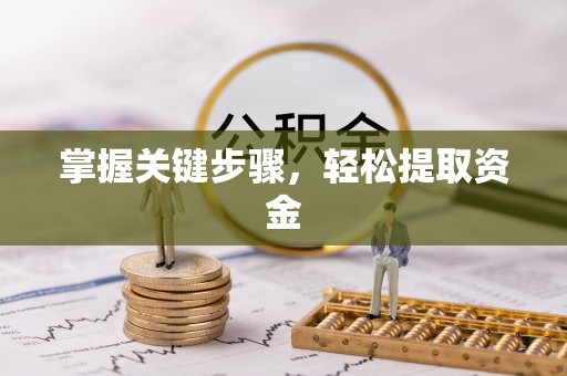 磐石掌握关键步骤，轻松提取资金