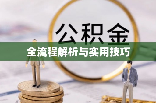 磐石全流程解析与实用技巧