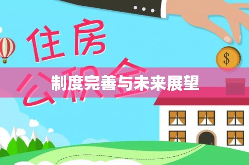 磐石制度完善与未来展望