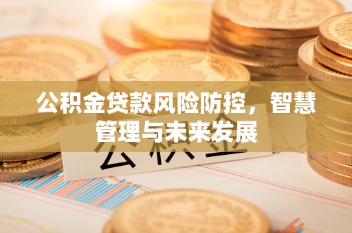 磐石公积金贷款风险防控，智慧管理与未来发展