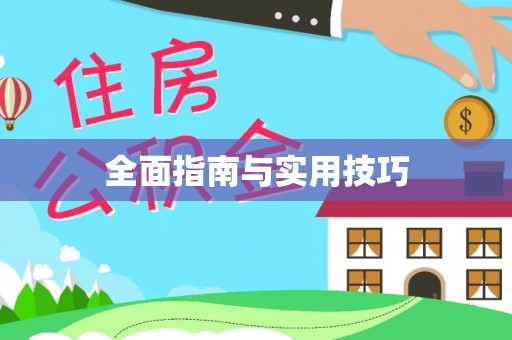 磐石全面指南与实用技巧