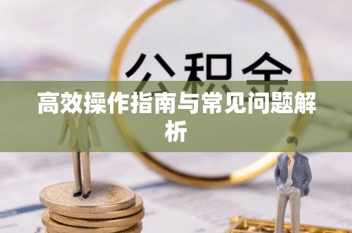 磐石高效操作指南与常见问题解析