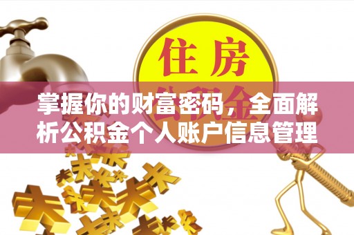 磐石掌握你的财富密码，全面解析公积金个人账户信息管理与优化