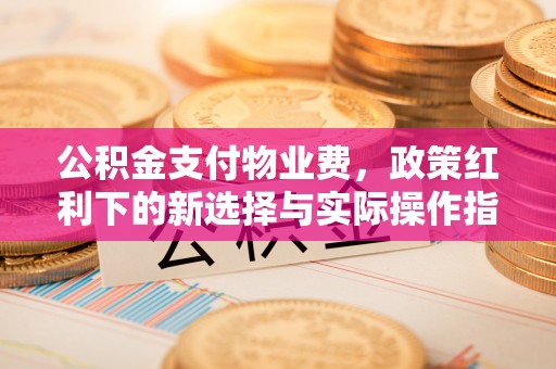 磐石公积金支付物业费，政策红利下的新选择与实际操作指南