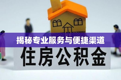 磐石揭秘专业服务与便捷渠道