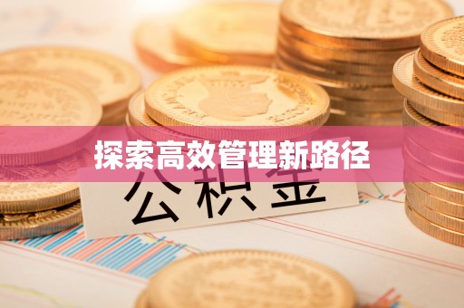 磐石探索高效管理新路径