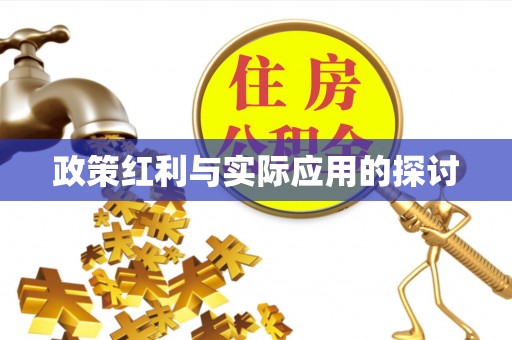 磐石政策红利与实际应用的探讨