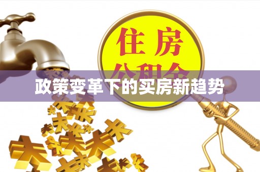 磐石政策变革下的买房新趋势
