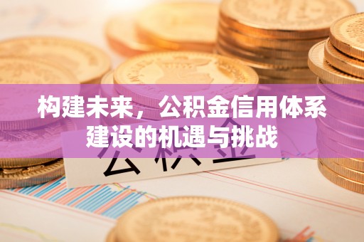 磐石构建未来，公积金信用体系建设的机遇与挑战