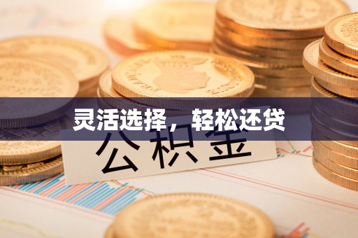 磐石灵活选择，轻松还贷