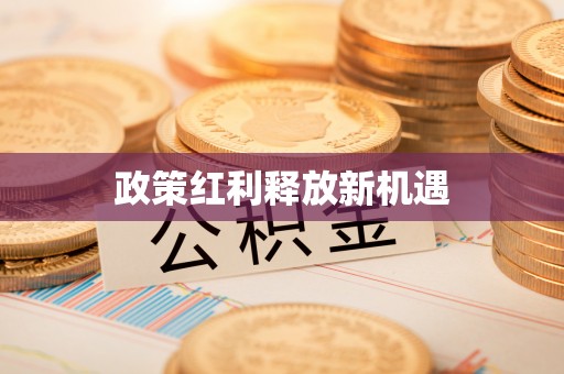 磐石政策红利释放新机遇