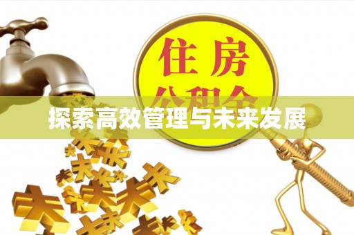 磐石探索高效管理与未来发展