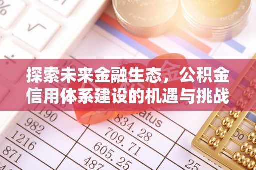 磐石探索未来金融生态，公积金信用体系建设的机遇与挑战