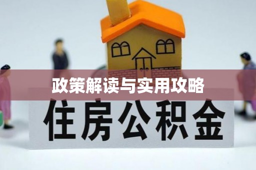磐石政策解读与实用攻略