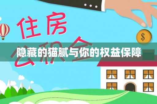 磐石隐藏的猫腻与你的权益保障
