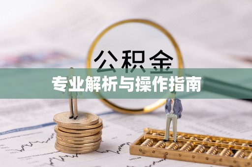 磐石专业解析与操作指南