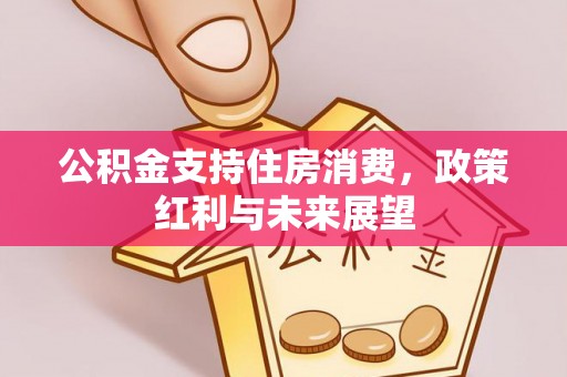 磐石公积金支持住房消费，政策红利与未来展望