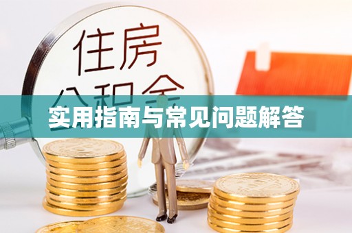 磐石实用指南与常见问题解答