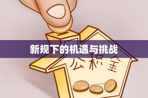 磐石新规下的机遇与挑战