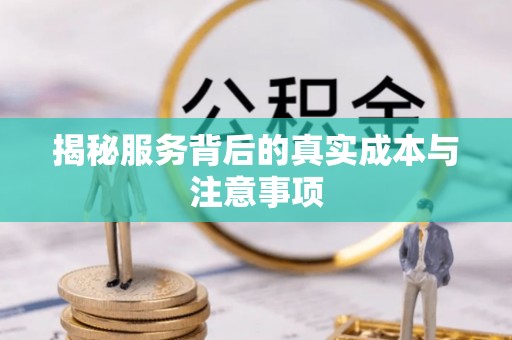 磐石揭秘服务背后的真实成本与注意事项