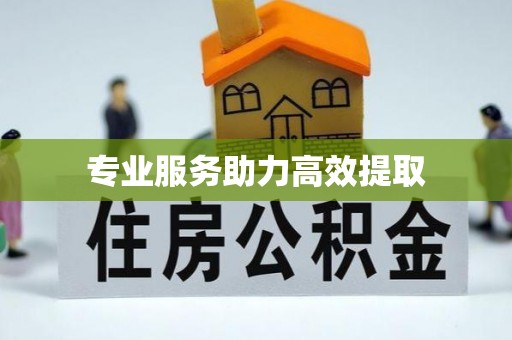 磐石专业服务助力高效提取